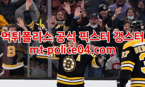 보스턴 브루인스 4