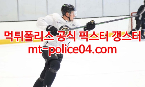보스턴 브루인스 4