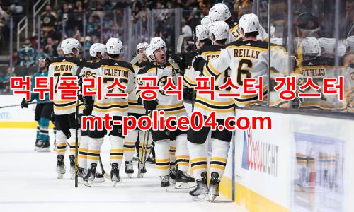 보스턴 브루인스 4