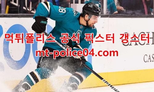 산호세 샤크스 4