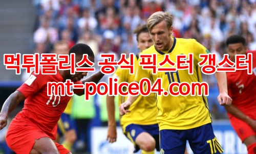 스웨덴 축구팀 4