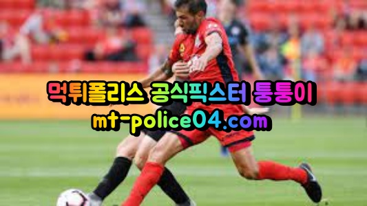 4월12일 호주A 시드니 애들레이드 분석 먹폴 퉁퉁이