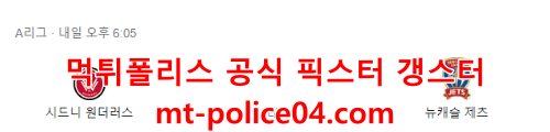 웨스턴시드니 원더러스 뉴캐슬제츠 4