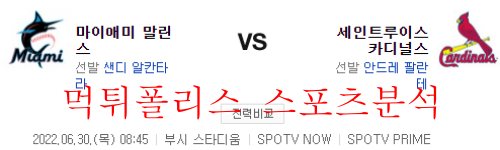 세인트루이스마이애미