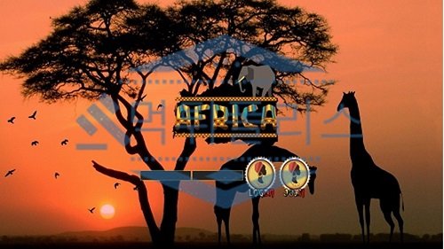 아프리카 신규사이트