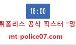 11월 14일 V리그 분석 GS칼텍스 vs 현대건설 먹폴 픽스터 망동 0 (0)
