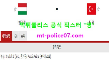 헝가리 vs 터키