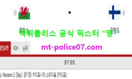 11월19일 네이션스리그 분석 웨일스 vs 핀란드 먹폴 픽스터 영 0 (0)