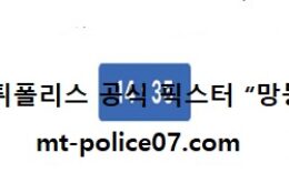 11월 28일 V리그 분석 대한항공 vs KB손해보험 먹폴 픽스터 망동 0 (0)