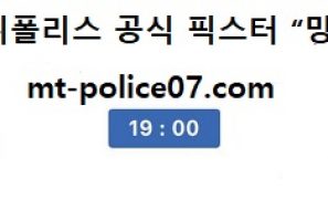11월 20일 V리그 분석 KGC인삼공사 vs 한국도로공사 먹폴 픽스터 망동