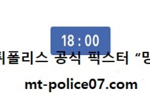 11월 4일  NPB 분석 주니치 vs 요코하마 먹폴 픽스터 망동