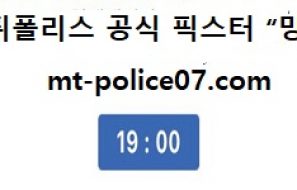 11월 4일  V리그 분석 현대캐피탈 vs 대한항공 먹폴 픽스터 망동