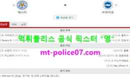 12월14일 EPL 분석 레스터 vs 브라이튼 먹폴 픽스터 영 0 (0)