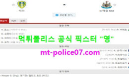 12월17일 EPL 분석 리즈 vs 뉴캐슬 먹폴 픽스터 영 0 (0)