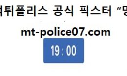 12월 17일 V리그 분석 삼성화재 vs KB손해보험 먹폴 픽스터 망동 5 (1)