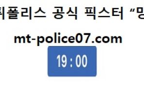 12월 4일 V리그 분석 삼성화재 vs 우리카드 먹폴 픽스터 망동