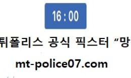 12월 5일 V리그 분석 흥국생명 vs GS칼텍스 먹폴 픽스터 망동 0 (0)