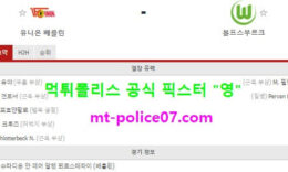 1월9일 분데스리가 분석 유니온베를린 vs 볼푸스부르크 먹폴 픽스터 영 0 (0)