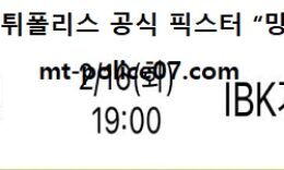 2월 16일 V리그 분석 흥국생명 vs IBK기업은행 먹폴 픽스터 망동 0 (0)