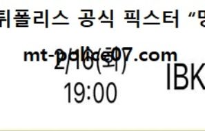 2월 16일 V리그 분석 흥국생명 vs IBK기업은행 먹폴 픽스터 망동