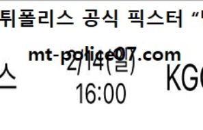 2월 14일 V리그 분석 GS칼텍스 vs KGC인삼공사 먹폴 픽스터 망동