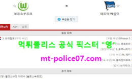 2월27일 분데스리가 분석 볼푸스부르크 vs 헤르타베를린 먹폴 픽스터 영 0 (0)
