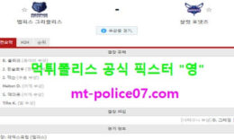 2월11일 NBA 분석 멤피스 vs 샬럿 먹폴 픽스터 영 0 (0)