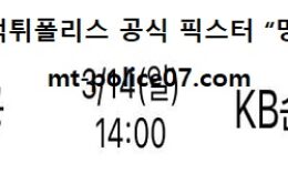 3월 14일 V리그 분석 대한항공 vs KB손해보험 먹폴 픽스터 망동 5 (1)
