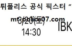 3월 20일 V리그 분석 흥국생명 vs IBK기업은행 먹폴 픽스터 망동