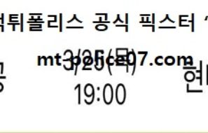 3월 25일 V리그 분석 대한항공 vs 현대캐피탈 먹폴 픽스터 망동