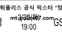 3월 30일 V리그 분석 흥국생명 vs GS칼텍스 먹폴 픽스터 망동 0 (0)