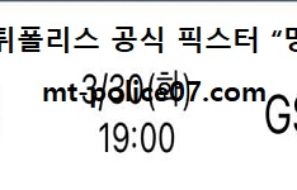 3월 30일 V리그 분석 흥국생명 vs GS칼텍스 먹폴 픽스터 망동