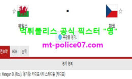 3월31일 월드컵예선 분석 웨일스 vs 체코 먹폴 픽스터 영 0 (0)