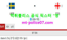 3월26일 월드컵예선 분석 스웨덴 vs 조지아 먹폴 픽스터 영 1 (2)