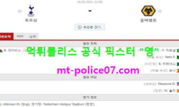 5월16일 EPL 분석 토트넘 vs 울버햄튼 먹폴 픽스터 영 0 (0)