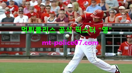 신시내티