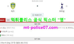 5월8일 EPL 분석 리즈 vs 토트넘 먹폴 픽스터 영 0 (0)