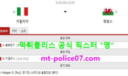 6월21일 유로 분석 이탈리아 vs 웨일스 먹폴 픽스터 영 0 (0)