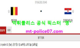 6월7일 국제친선경기 분석 벨기에 vs 크로아티아 먹폴 픽스터 영 0 (0)