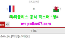 6월2일 국제친선경기 분석 프랑스 vs 웨일스 먹폴 픽스터 영 0 (0)