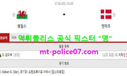 6월27일 유로 분석 웨일스 vs 덴마크 먹폴 픽스터 영 0 (0)