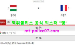 6월19일 유로 분석 헝가리 vs 프랑스 먹폴 픽스터 영 0 (0)