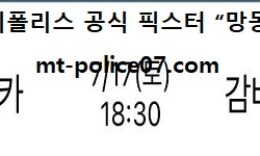 7월 17일 J리그 분석 후쿠오카 vs 감바 먹폴 픽스터 망동 0 (0)