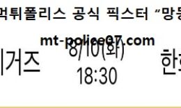 8월 10일 KBO 분석 기아 vs 한화 먹폴 픽스터 망동 0 (0)