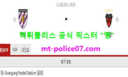 8월11일 FA컵 분석 전남 vs 포항 먹폴 픽스터 영 0 (0)