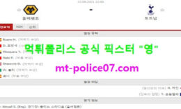 8월22일 EPL 분석 울버햄튼 vs 토트넘 먹폴 픽스터 영 5 (1)