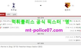 8월29일 EPL 분석 토트넘 vs 왓포드 먹폴 픽스터 영 0 (0)
