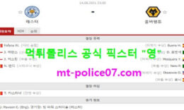 8월14일 EPL 분석 레스터시티 vs 울버햄튼 먹폴 픽스터 영 0 (0)