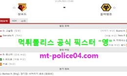 9월11일 EPL 분석 왓포드 vs 울버햄튼 먹폴 픽스터 영 0 (0)