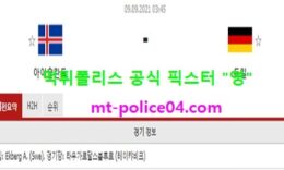 9월9일 월드컵예선 분석 아이슬란드 vs 독일 먹폴 픽스터 영 0 (0)